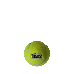 Tennis Balls