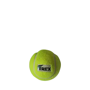 Tennis Balls